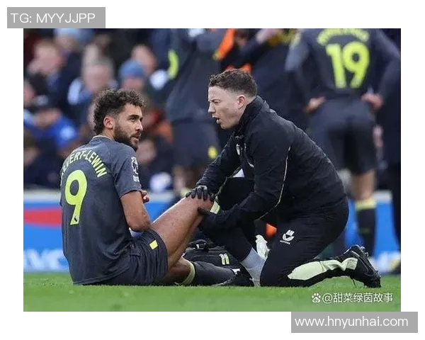 2017年埃弗顿对阵莱斯特城精彩回顾与赛后分析