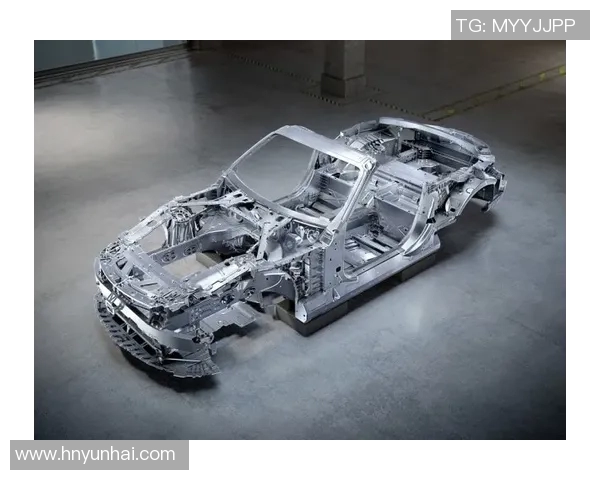 伐木者与白帽之间的较量探讨技术与道德的边界与冲突