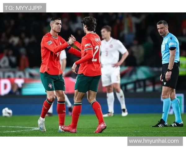 2011年葡萄牙与荷兰激战回顾:精彩瞬间与战术分析